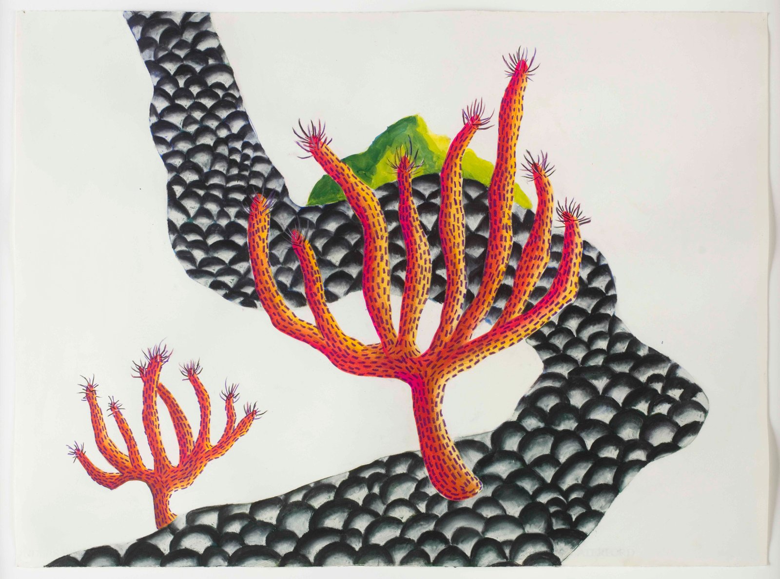 Vivien Blackett, Rock River, Spiky Plants, 2026, gouache and pastel on paper